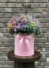 Цветочная композиция из Гипсофила и Розы в шляпной коробке в Новичихе