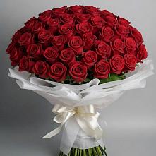 Букет 101 Красная роза Блэк Мэджик в Новичихе