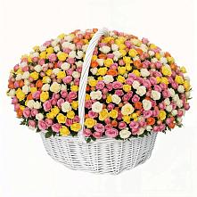 Премиум букет из: Розы в Новичихе