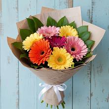 Букет цветов из:  Герберы #REPLACE_PRED# Новичихе