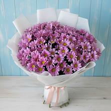 Букет цветов из:  Хризантемы в Новичихе