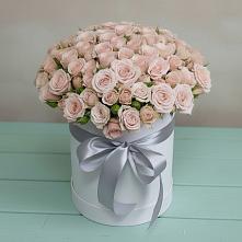 Цветочная композиция из Розы в шляпной коробке #REPLACE_PRED# Новичихе