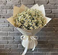 Букет цветов из:  Ромашки #REPLACE_PRED# Новичихе