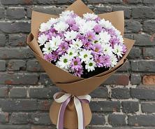 Букет цветов из:  Хризантемы #REPLACE_PRED# Новичихе