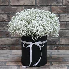 Цветочная композиция из Гипсофила в шляпной коробке в Новичихе