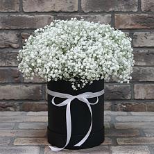 Цветочная композиция из Гипсофила в шляпной коробке в Новичихе