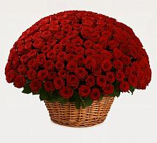 Премиум букет из: Розы #REPLACE_PRED# Новичихе