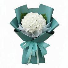 Букет цветов из:  Гортензия в Новичихе